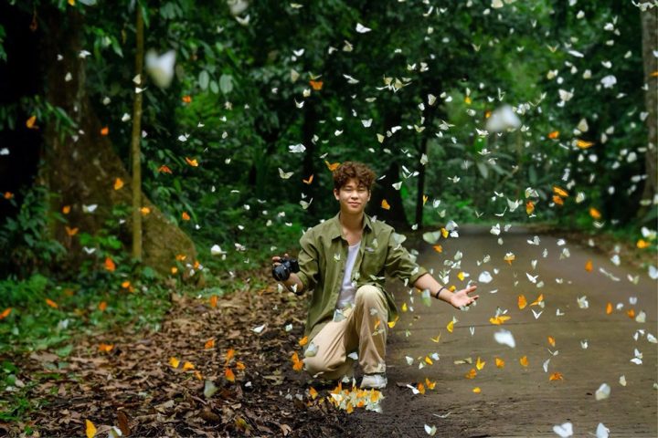 Cẩm Nang Du Lịch Vườn Quốc Gia Cúc Phương Từ A-Z năm 2026